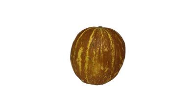 מלון בייסבול
(קטן), פרימיום