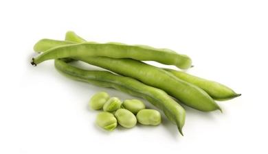 פול מצרי, פרימיום