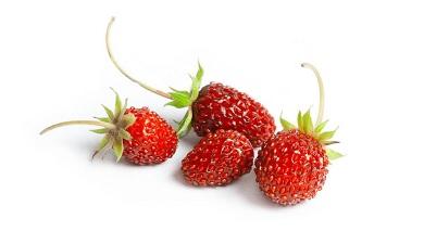 תות שדה בטעם ענבים
משק כהן