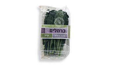 קייל כרמלים