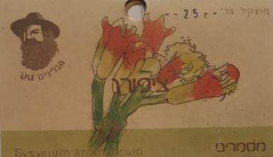 ציפורן
תבליני גוט, אורגני