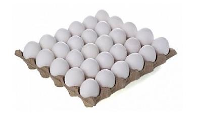 ביצים 30 יח'
XL רמות השבים