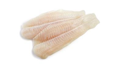 פילה בורי, טרי