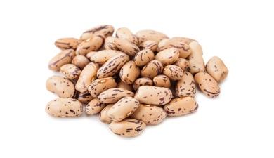 שעועית ברבוניה
צבעונית