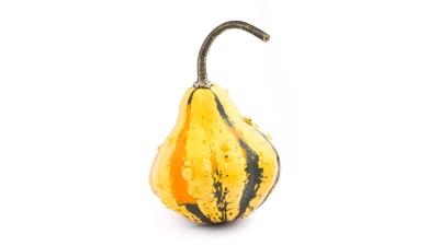 דלעת ערמונים
צהובה, פרימיום