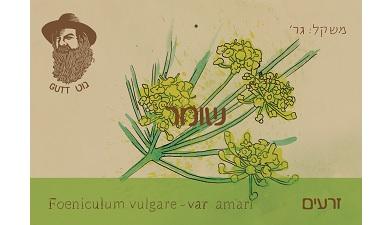 שומר זרעים
תבליני גוט, אורגני