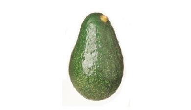 אבוקדו גליל