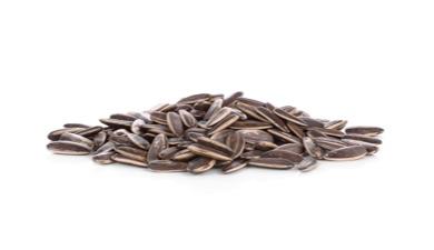 חמניות קלופות אורגני במשקל, אורגני