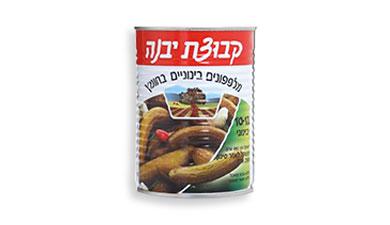 מלפפונים בינוניים בחומץ
560 גרם קבוצת יבנה