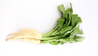 צנון יפני לבן
עם עלים