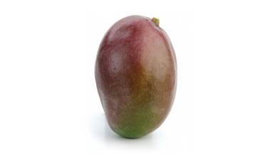 מנגו טומי, אורגני