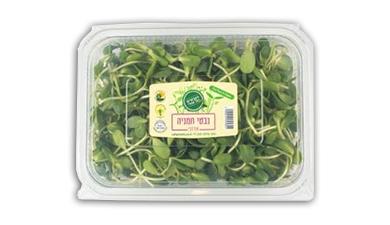 נבטי חמניה ענק, אורגני