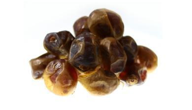 תמר פיסטוק