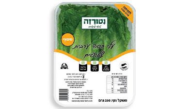 עלי חסה
שטופים נטורזה, פרימיום
