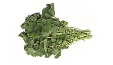 חוביזה
חלמית, אורגני