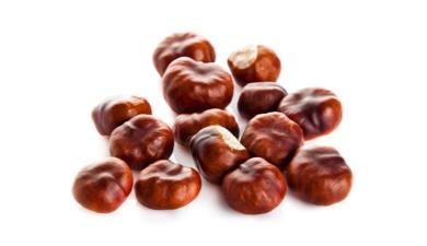 ערמונים אלטאי
, פרימיום