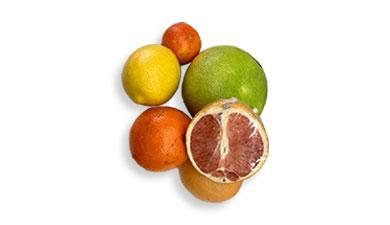 מיקס פירות הדר לסחיטה, לסחיטה ומיץ