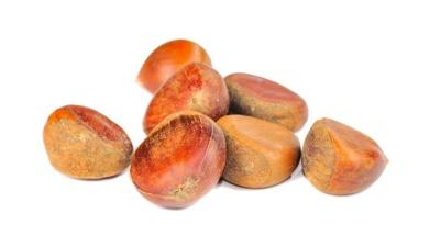 ערמונים