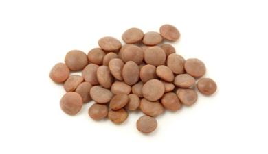 עדשים חומות