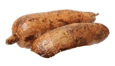 שורש קאסבה, אורגני