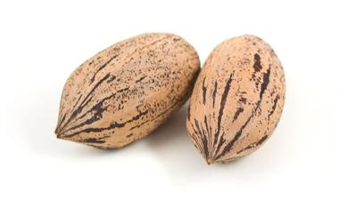 אגוז פקאן
שלם, מובחר