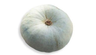 דלעת גרוזינית
דובה