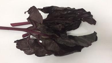 סלק עלים
אדומים, אורגני