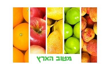 חטיף תמרים, פרימיום