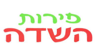 פירורי לחם הנמל