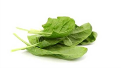 תרד עלים תורכי, אורגני