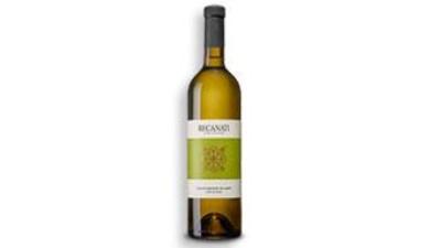 סוביניון בלאן קולומבר 2024 (לבן)
יקב רקנאטי