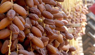 תמר דקל נור
סנסנים 5 ק"ג, אורגני