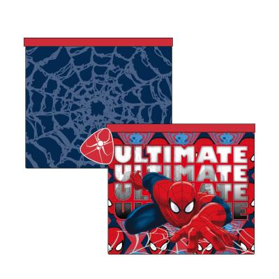 SPIDERMAN