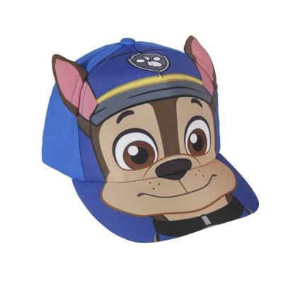 PAW PATROL