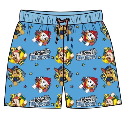 PAW PATROL