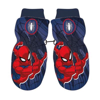 SPIDERMAN