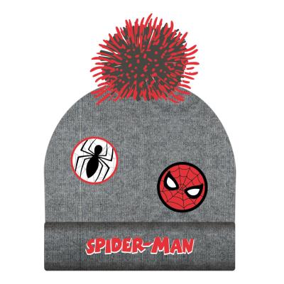 SPIDERMAN