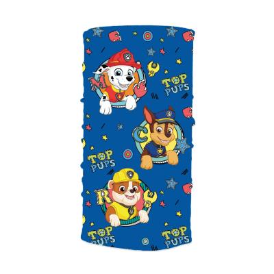 PAW PATROL