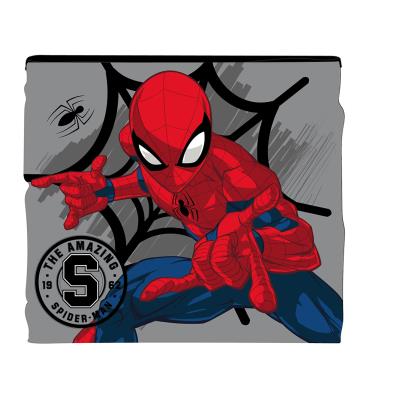 SPIDERMAN