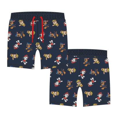 PAW PATROL
