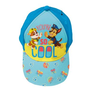 PAW PATROL