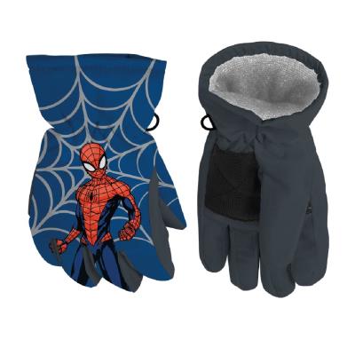 SPIDERMAN