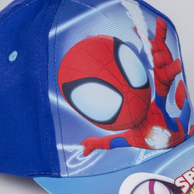 Boné Aranha para Revenda – Pack 12