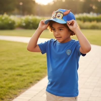 Aplicações de Cap Premium Paw Patrol – Pack 4