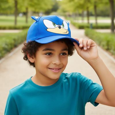 Acessórios Premium de Cap Sonic – Pack 4