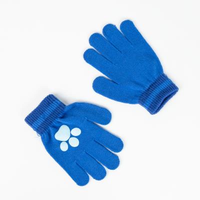 Conjunto 2 Peças Paw Patrol – Pack 2