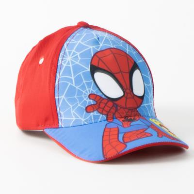 Boné Aranha para Revenda – Pack 12