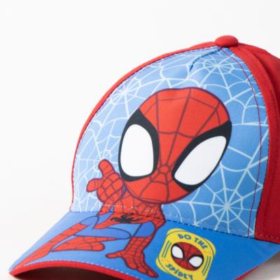 Boné Aranha para Revenda – Pack 12