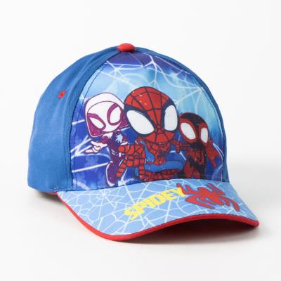 Boné Aranha para Revenda – Pack 12