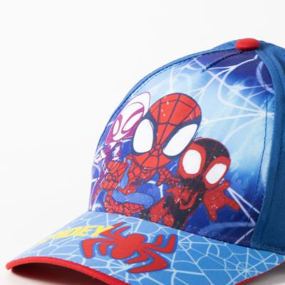 Boné Aranha para Revenda – Pack 12